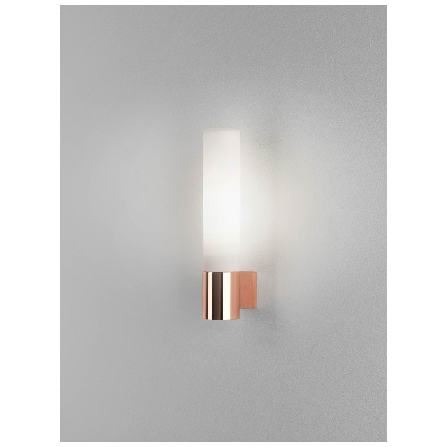 Bari Frosted Glass Wall Light with Tube Base