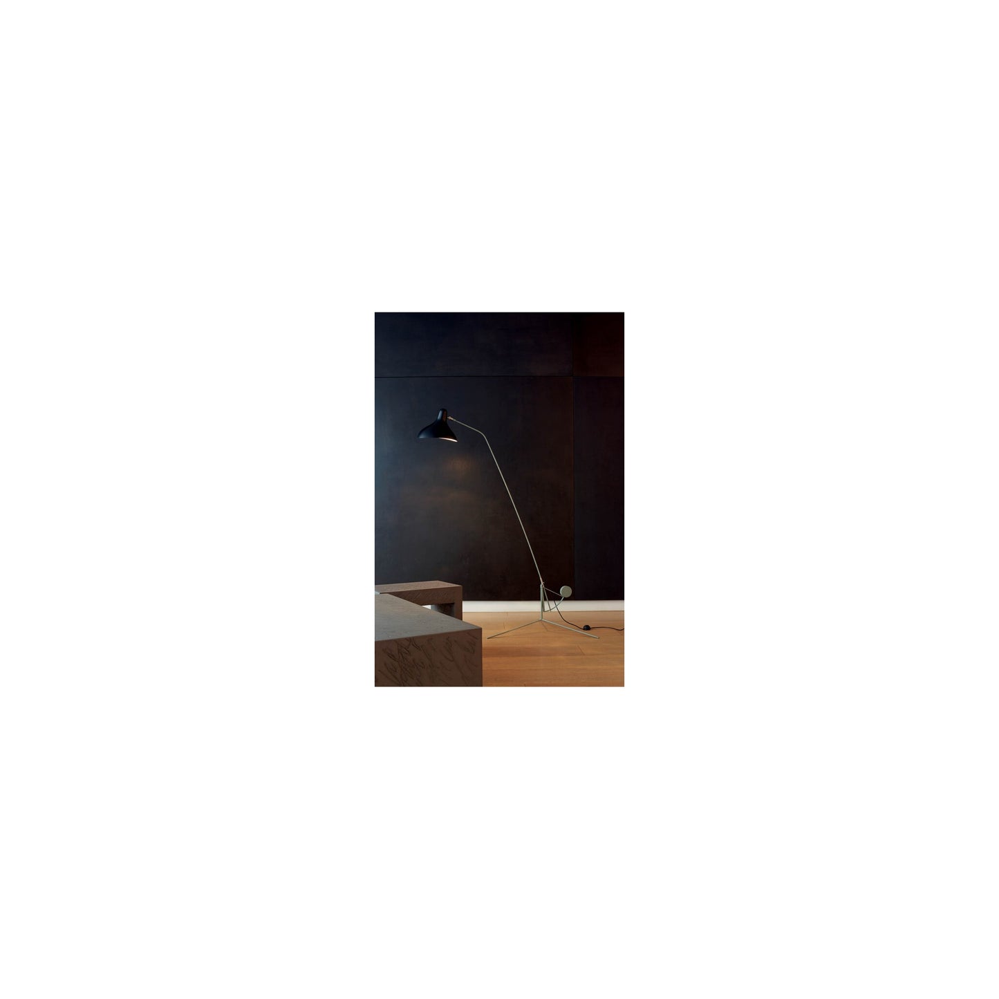 Mantis BS1 Adjustable Floor Lamp