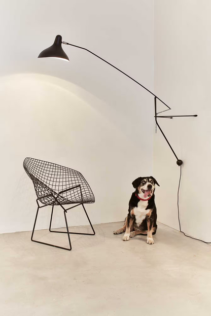 DCW éditions Mantis Wall Lamp