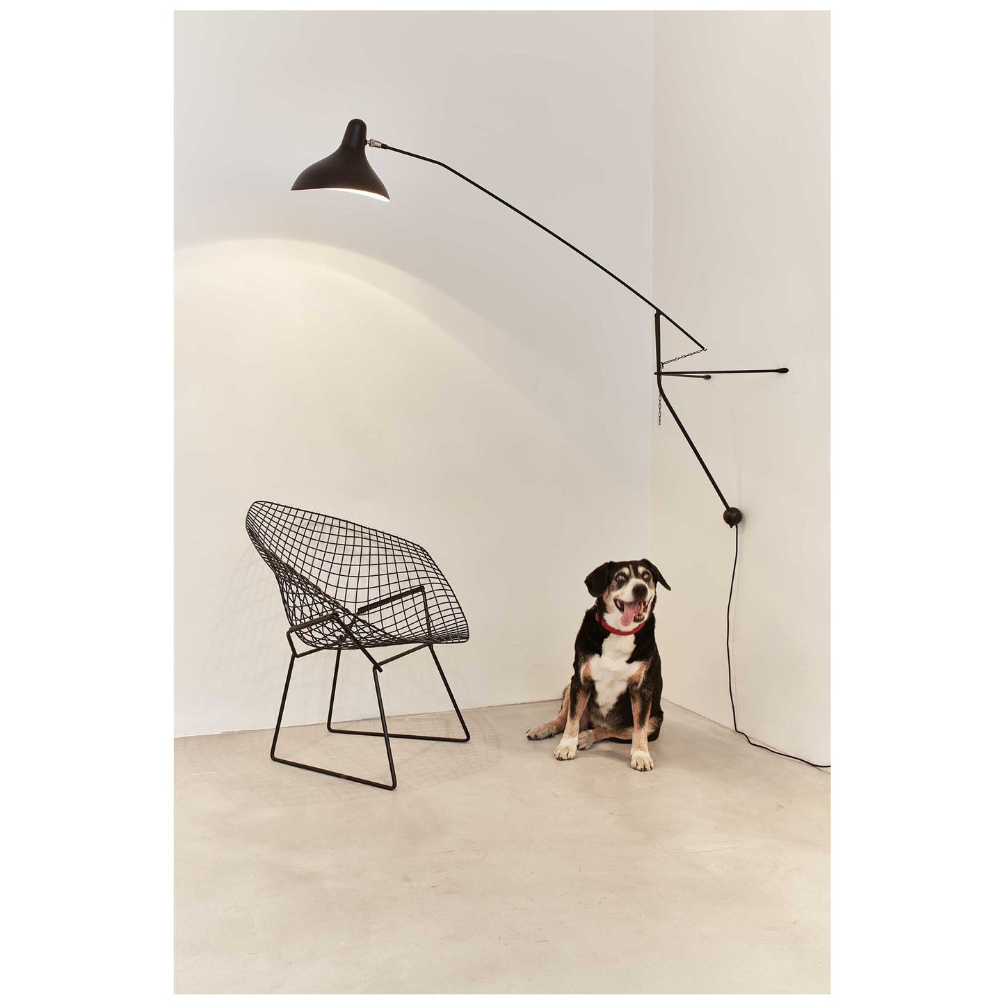 Mantis BS2 Adjustable Wall Light
