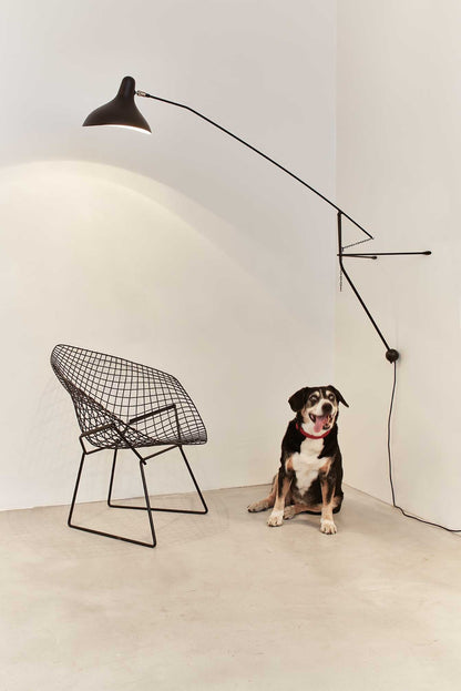 DCW éditions Mantis Wall Lamp
