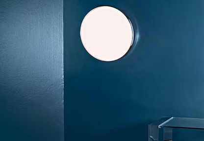 LED Ceiling and Wall Light