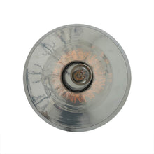 Mullan Lighting Passion Pendant