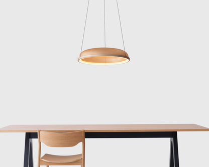 Mesh Pendant