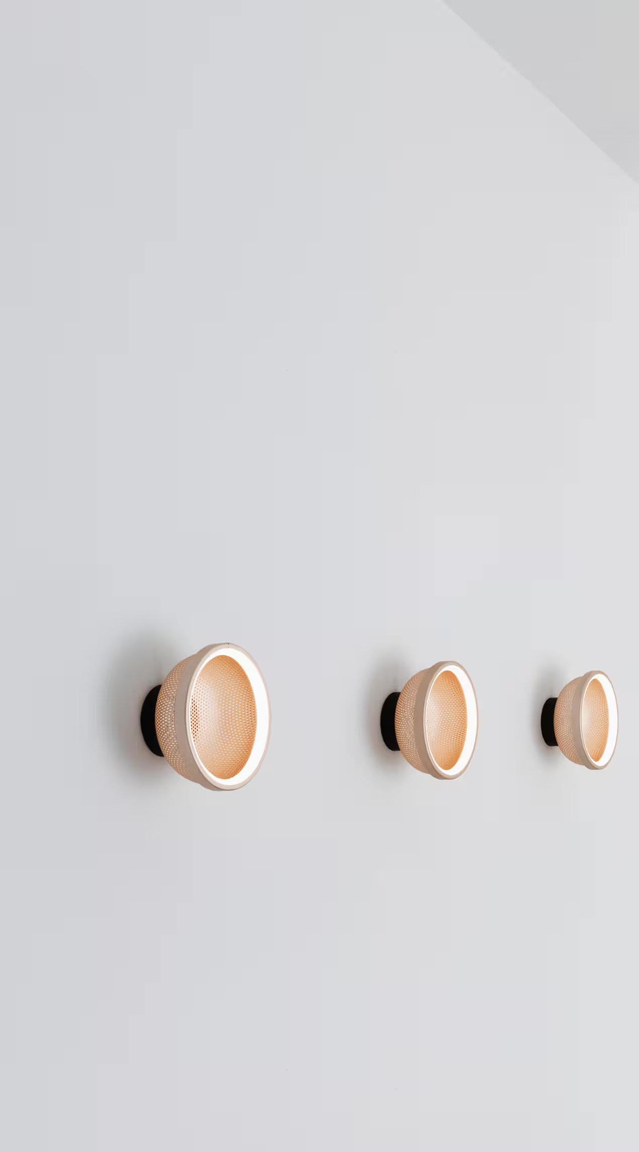 Mesh Ceiling/Wall Light