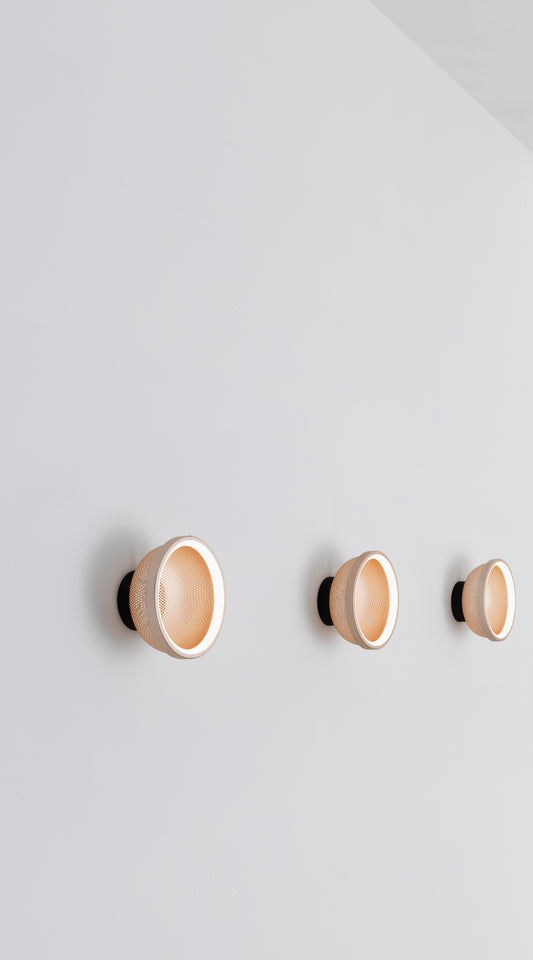 Mesh Ceiling/Wall Light