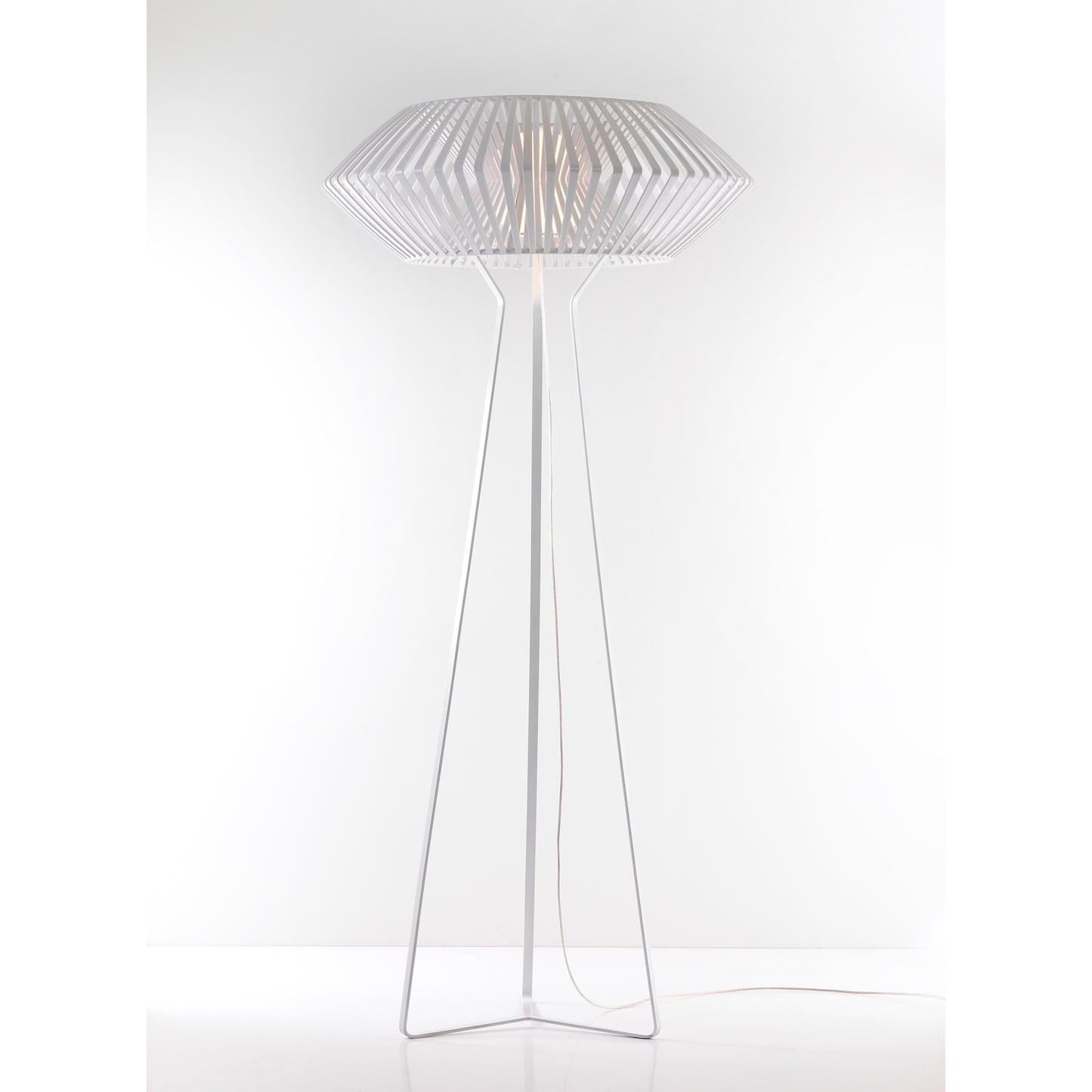 V Floor Lamp