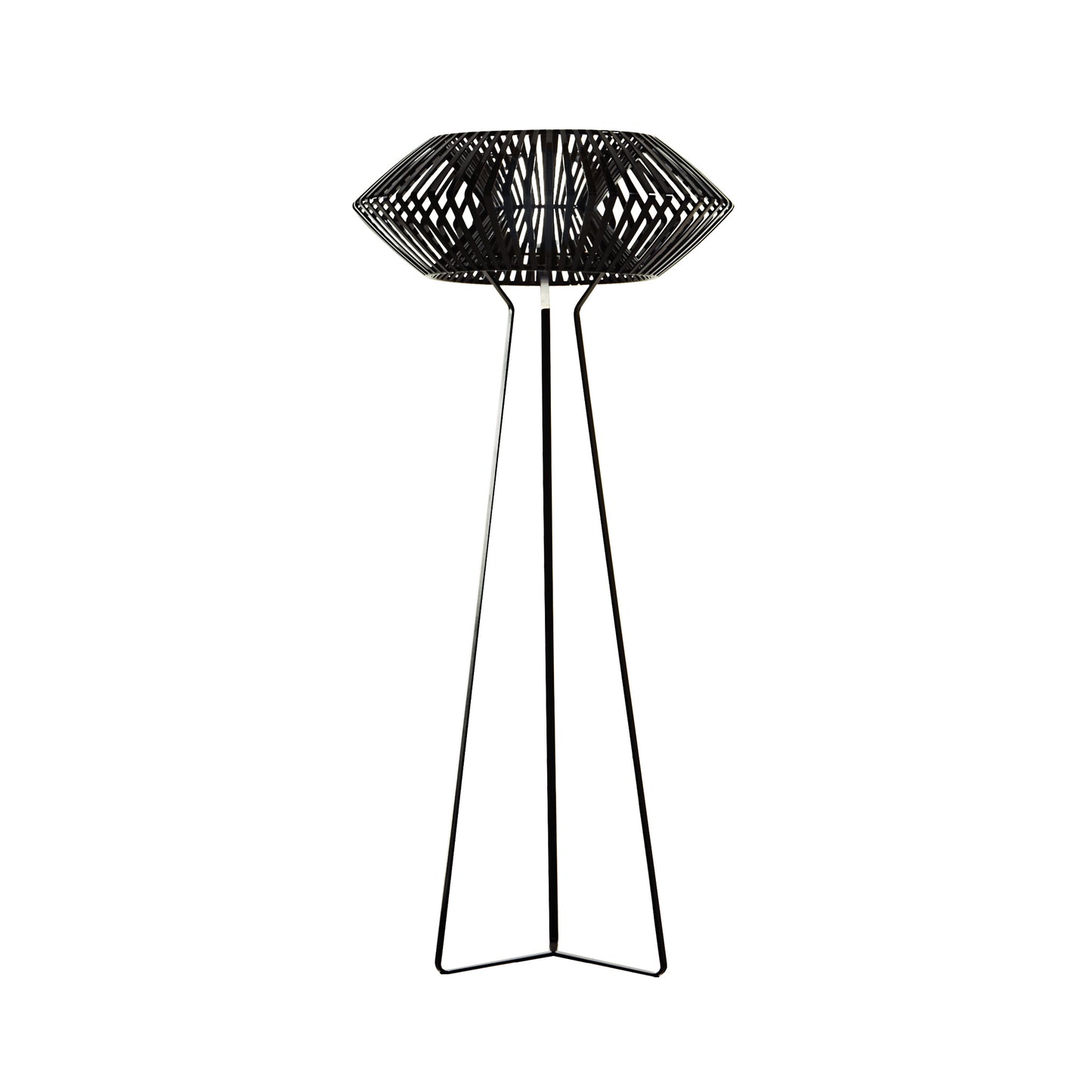 V Floor Lamp