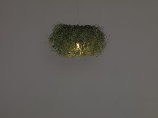 Caos Small LED Pendant
