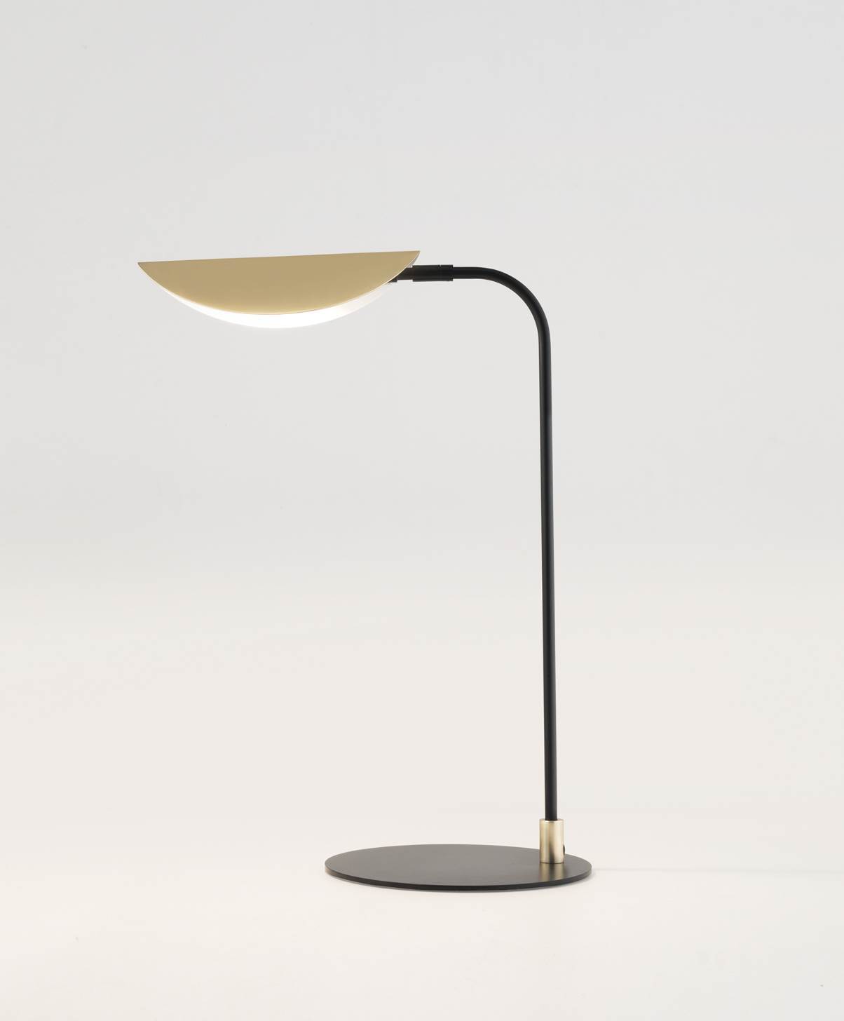 Ficus Table Lamp