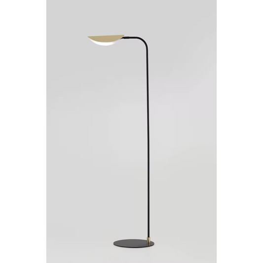 Ficus Floor Lamp