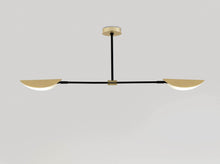 Ficus 2-Light Pendant