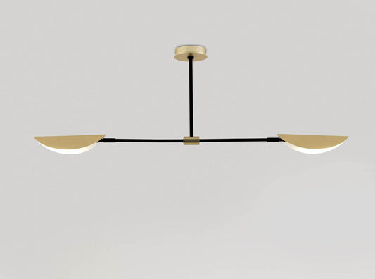 Ficus 2-Light Pendant