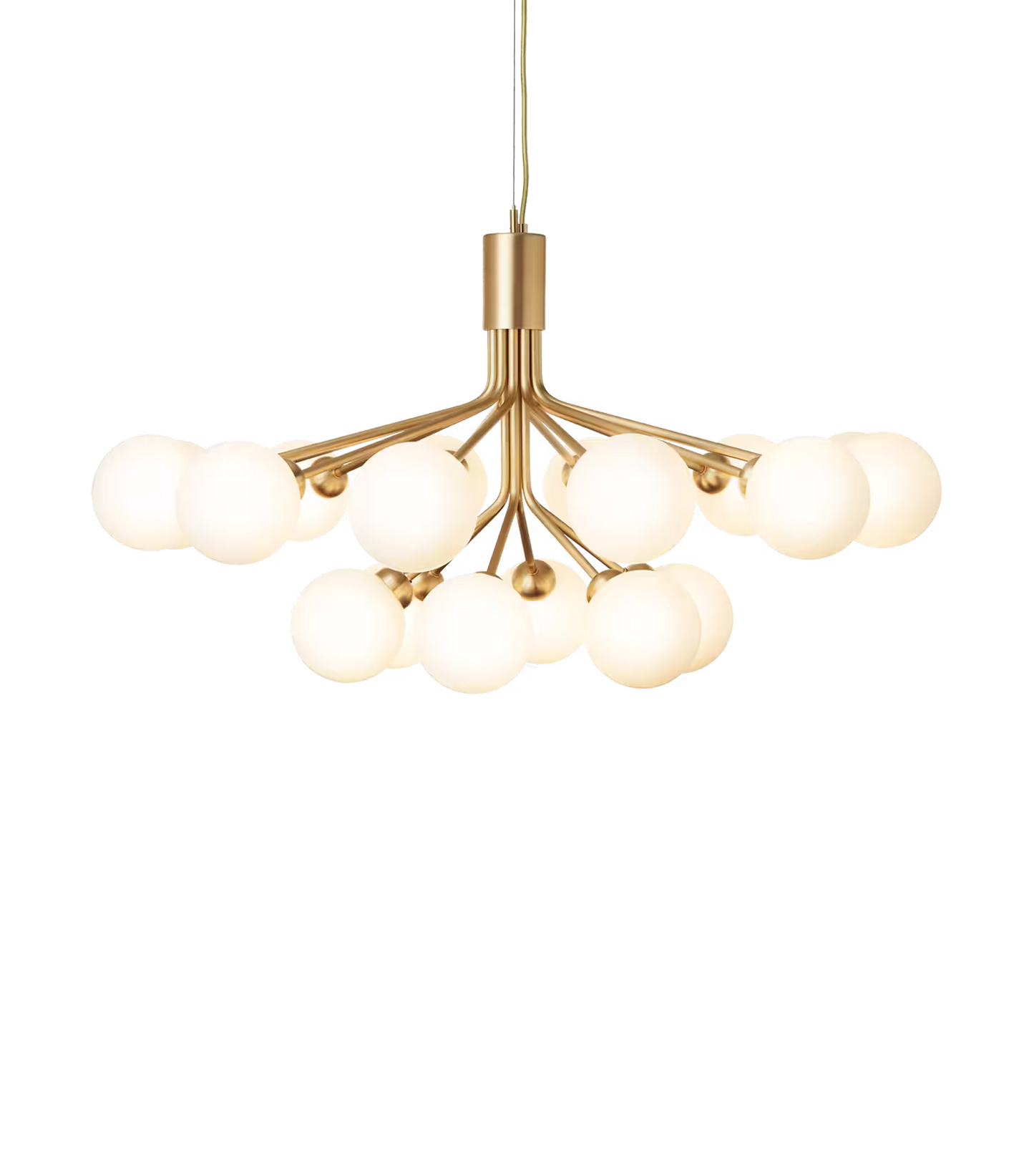 Apiales 18-Light Chandelier