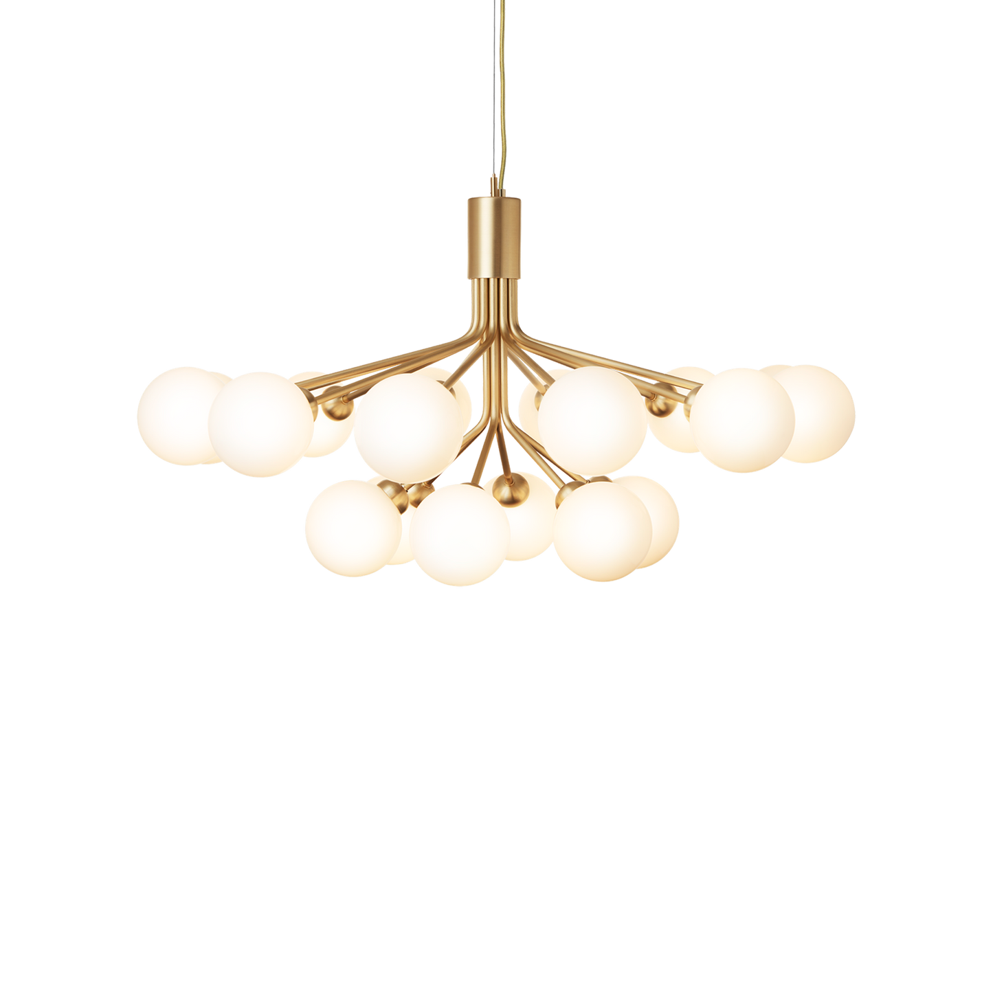Apiales 18-Light Chandelier