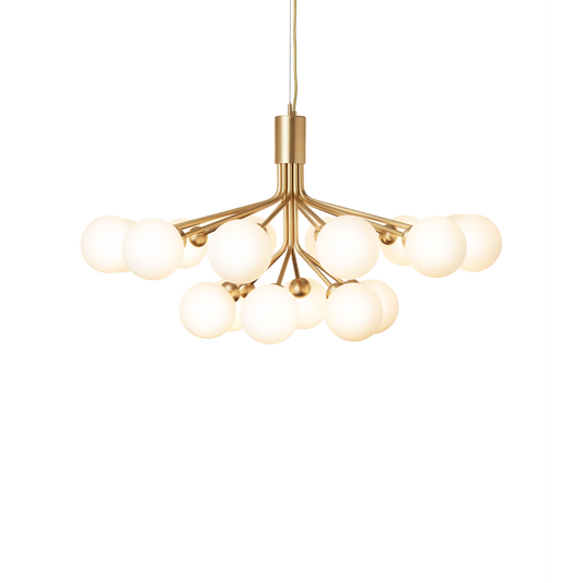 Apiales 18-Light Chandelier with Glass Shade