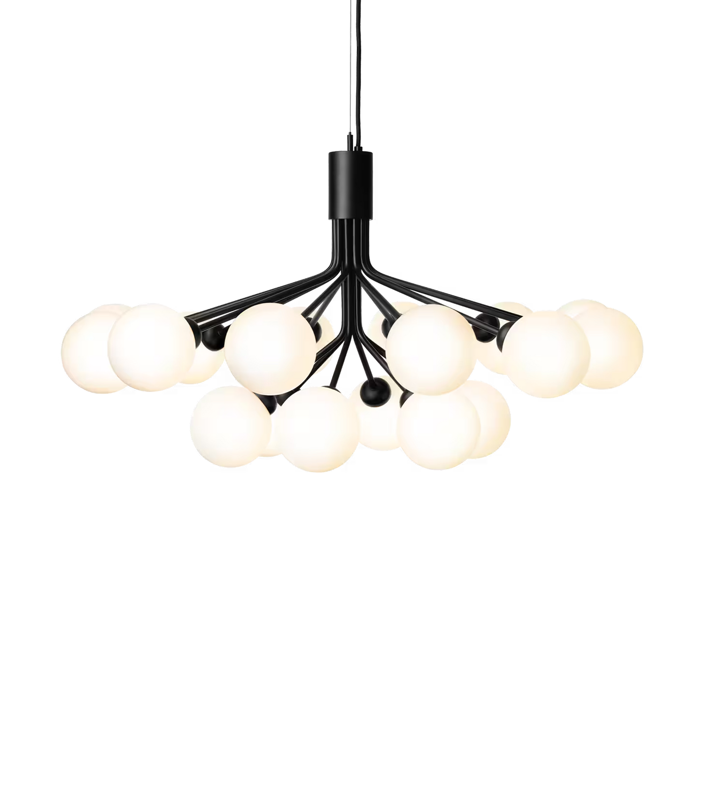 Apiales 18-Light Chandelier