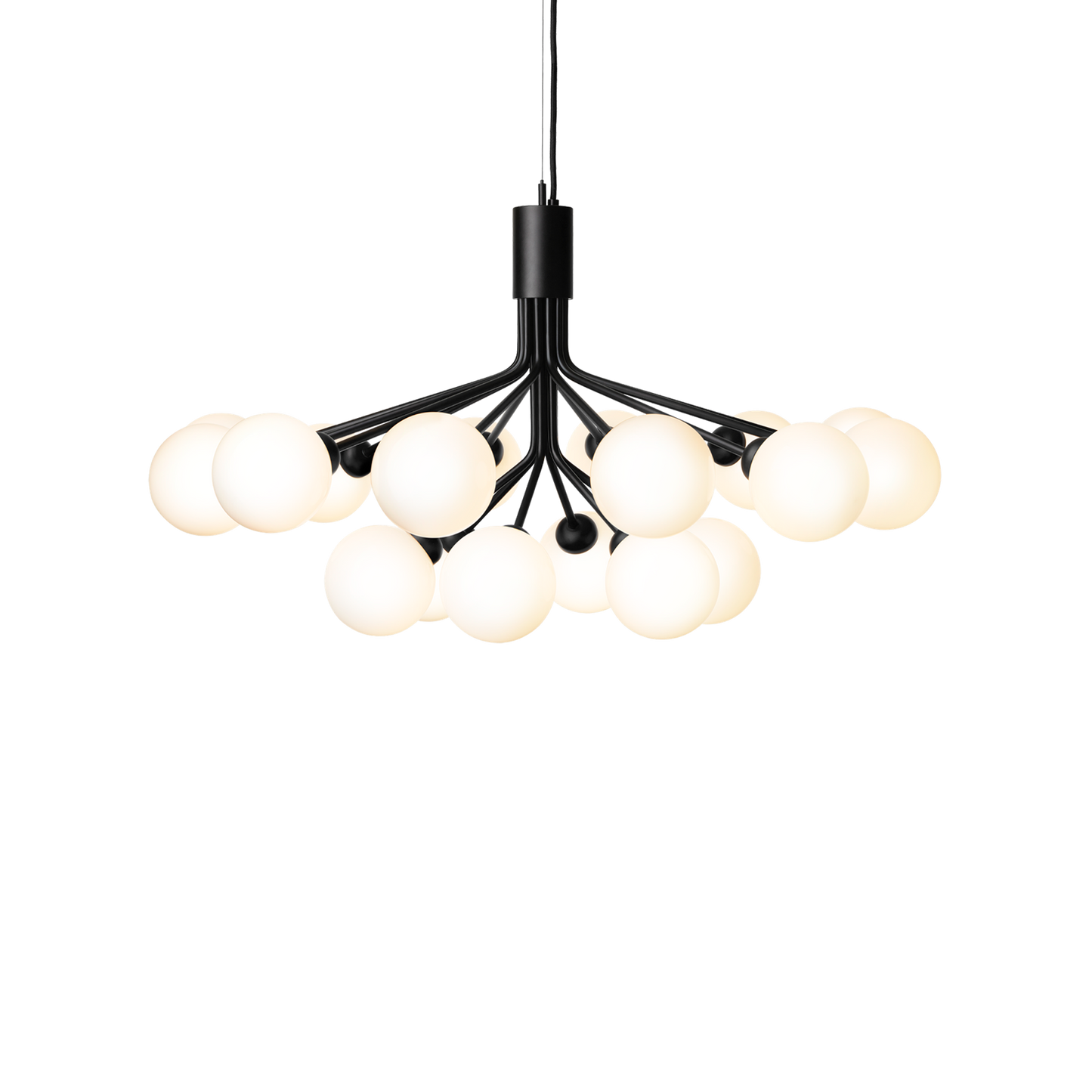 Apiales 18-Light Chandelier