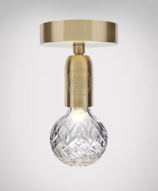 Crystal Bulb LED Ceiling Light