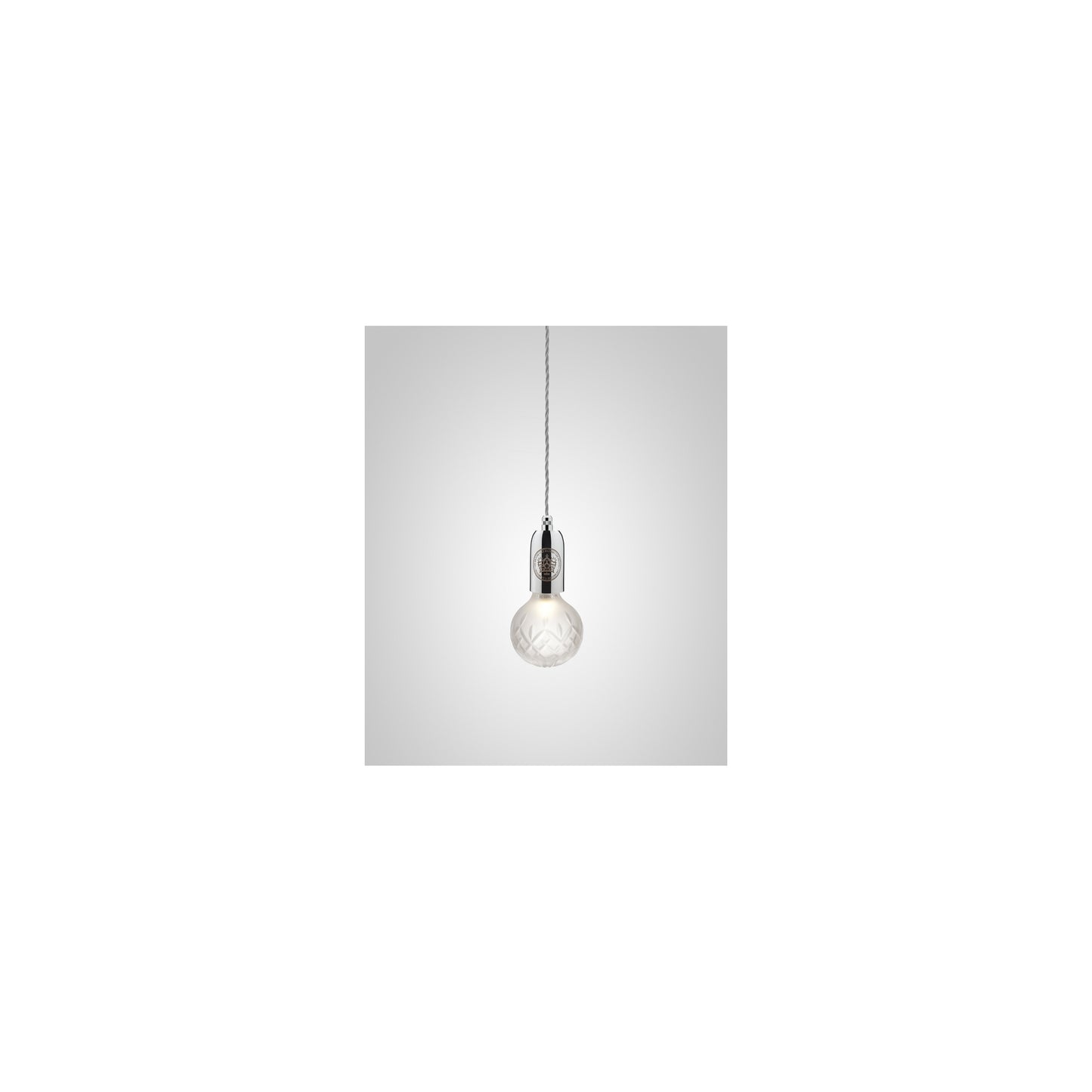 Crystal Bulb Frosted Glass LED Pendant