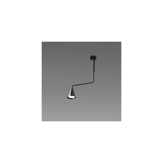 Gordon 11A Ceiling Light with Adjustable Arm