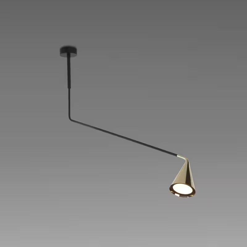 Gordon 11C Ceiling Light with Adjustable Arm