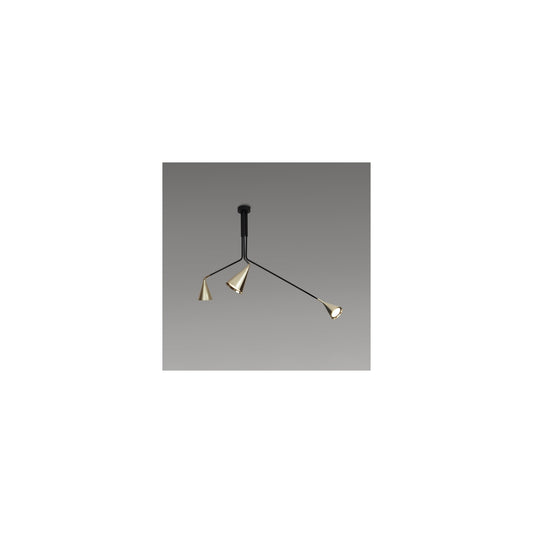 Gordon 13ABC Ceiling Light with Adjustable Arms