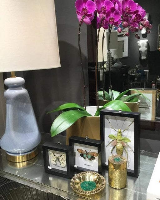 Kapila Table Lamp