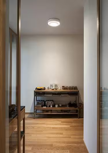 Centric 5710 Ceiling Light