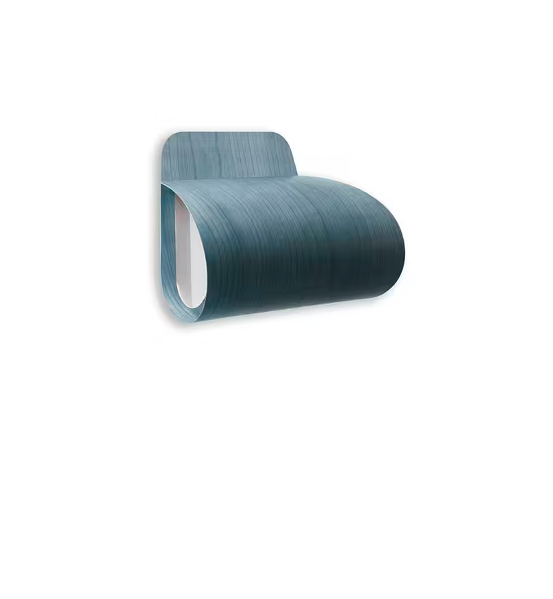 Pleg LED Wall & Ceiling Light