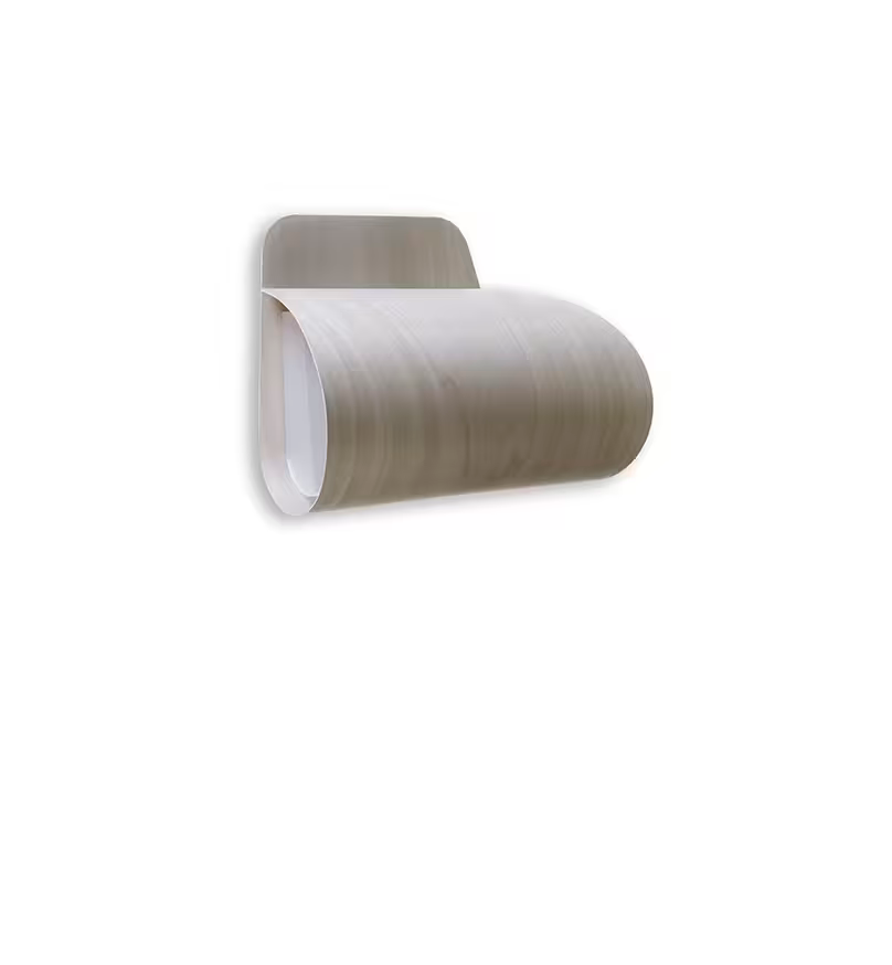 Pleg LED Wall & Ceiling Light