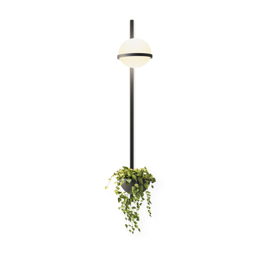 Palma 3714 LED Vertical Wall Light