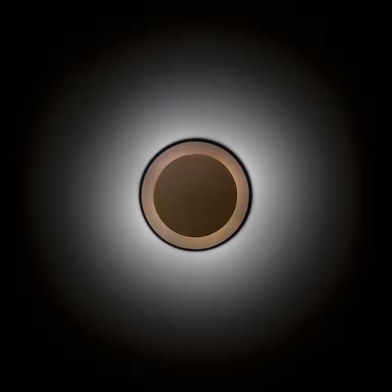 Micro 2015 Outdoor Wall Light