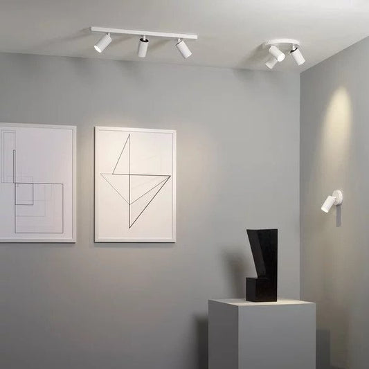 Can 50 Single Ceiling Spotlight