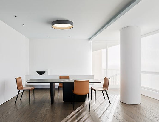 Duo 4870 2700K Ceiling Surface