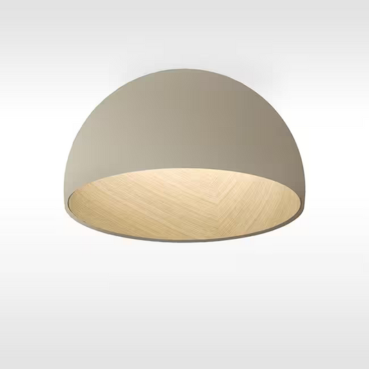 Duo 4878 4000K Ceiling Light