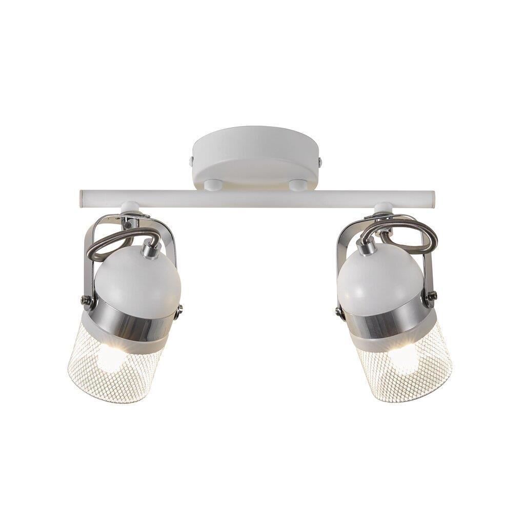 Agnes 2-Spot Ceiling Light