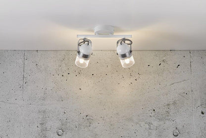 Agnes 2-Spot Ceiling Light