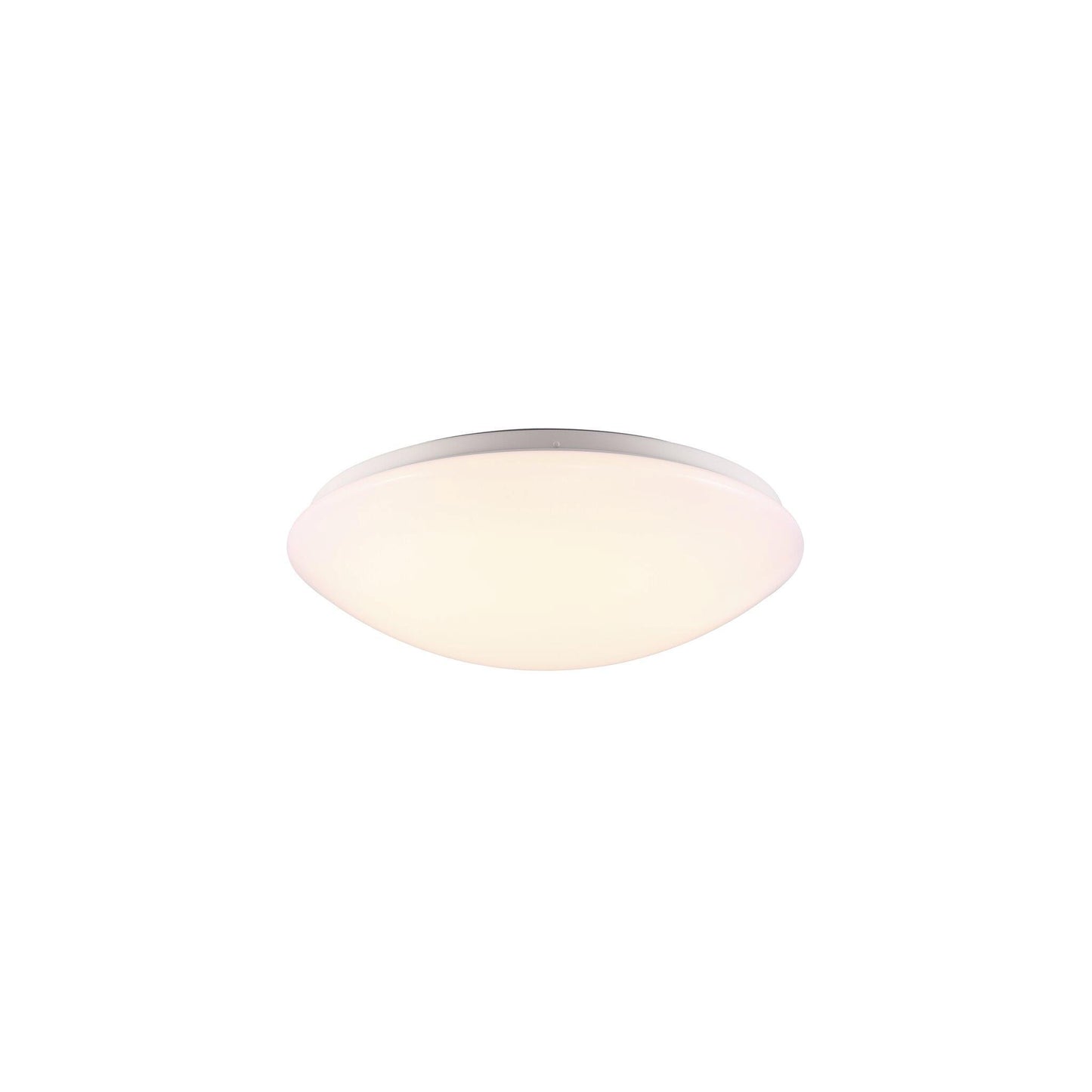 Ask 36 LED Ceiling Light