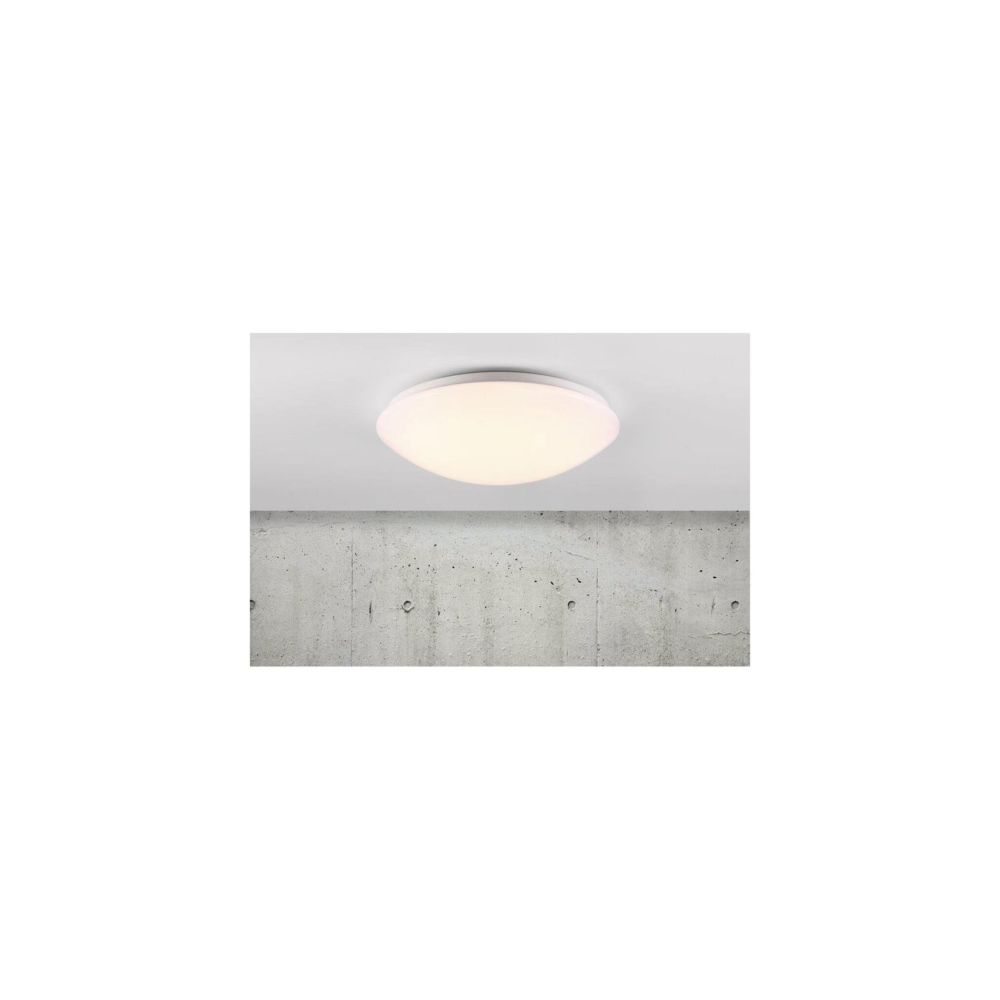 Ask 36 LED Ceiling Light