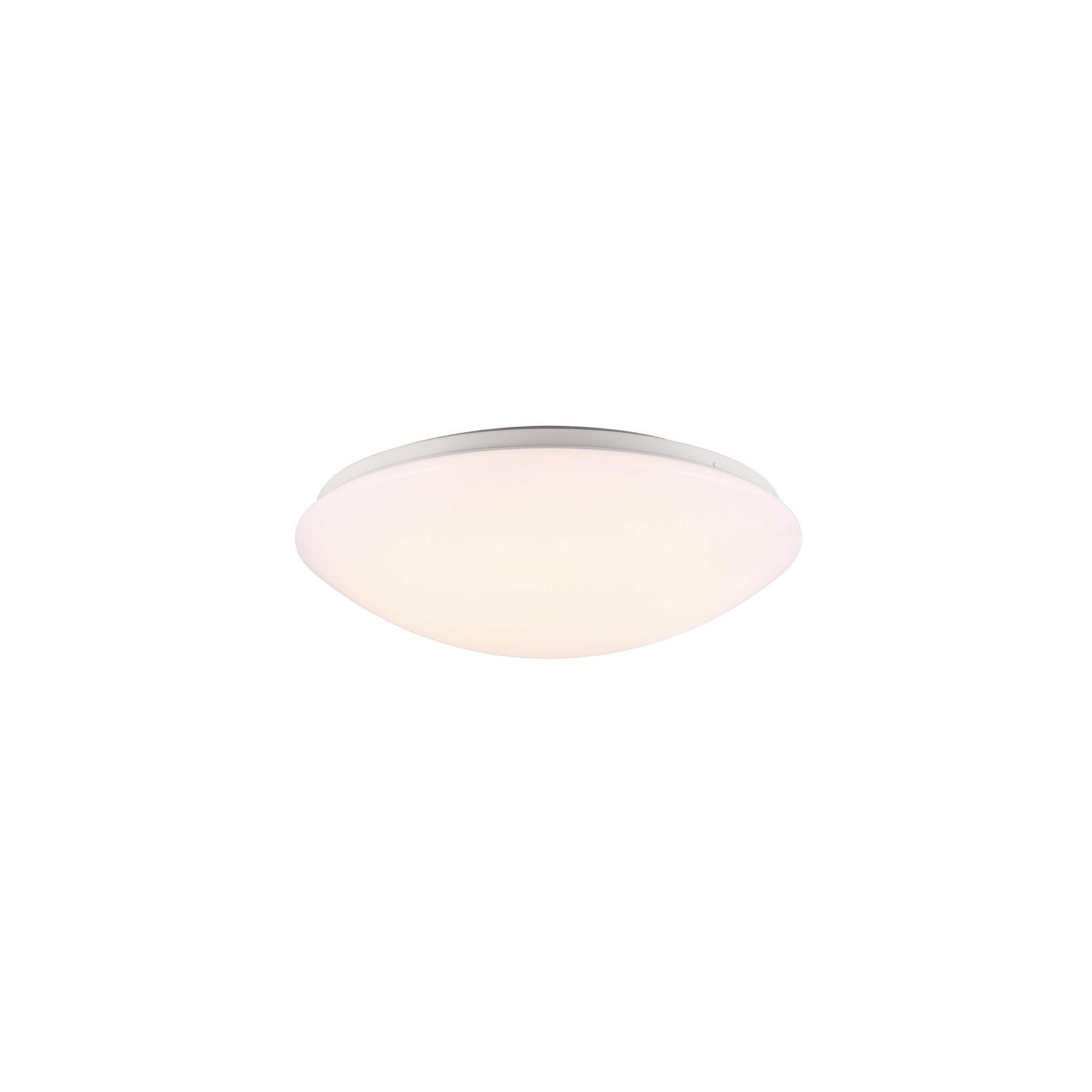 Ask 36 LED Ceiling Light