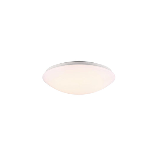 Ask 36 LED Ceiling Light
