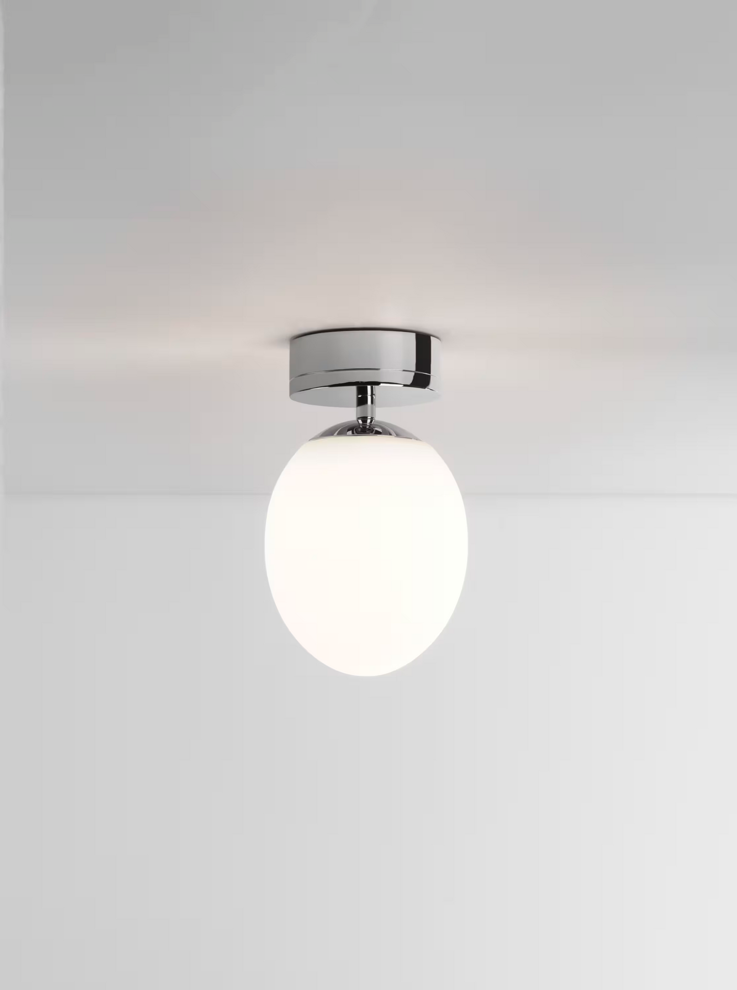Kiwi Ceiling Light
