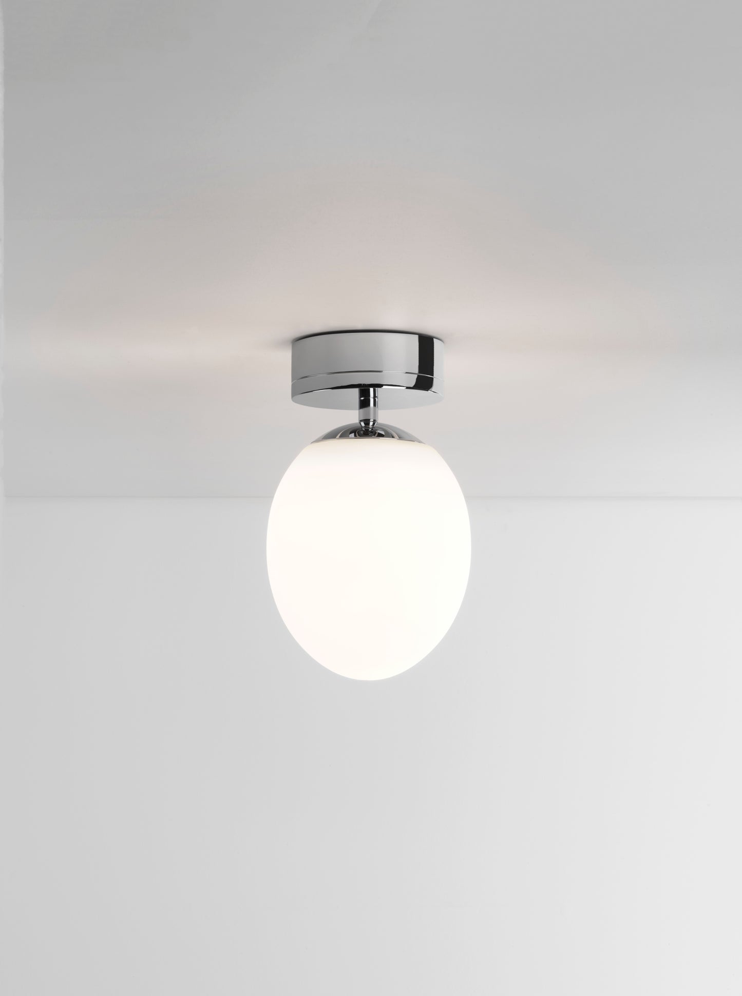 Kiwi Ceiling Light