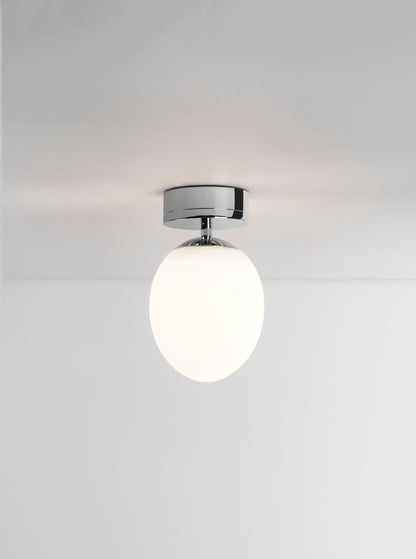 Kiwi Ceiling Light