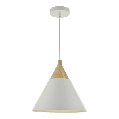 Ilory 1-Light Pendant