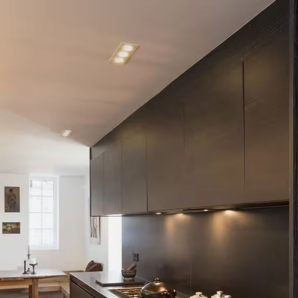 Taro Triple Adjustable Downlight