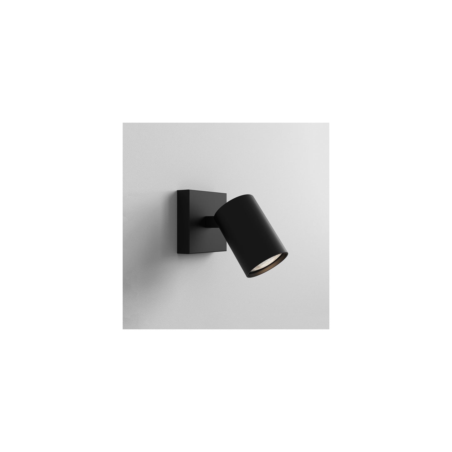 Ascoli Single Wall or Ceiling Spotlight