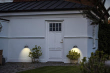 Nordlux Scorpius Outdoor Wall Light