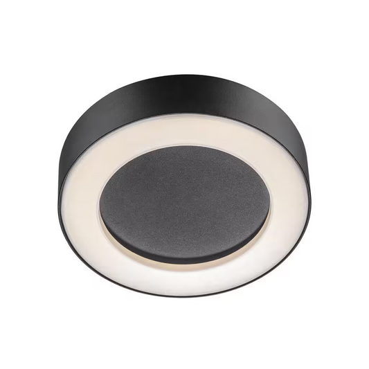 Teton Outdoor LED Ceiling Light